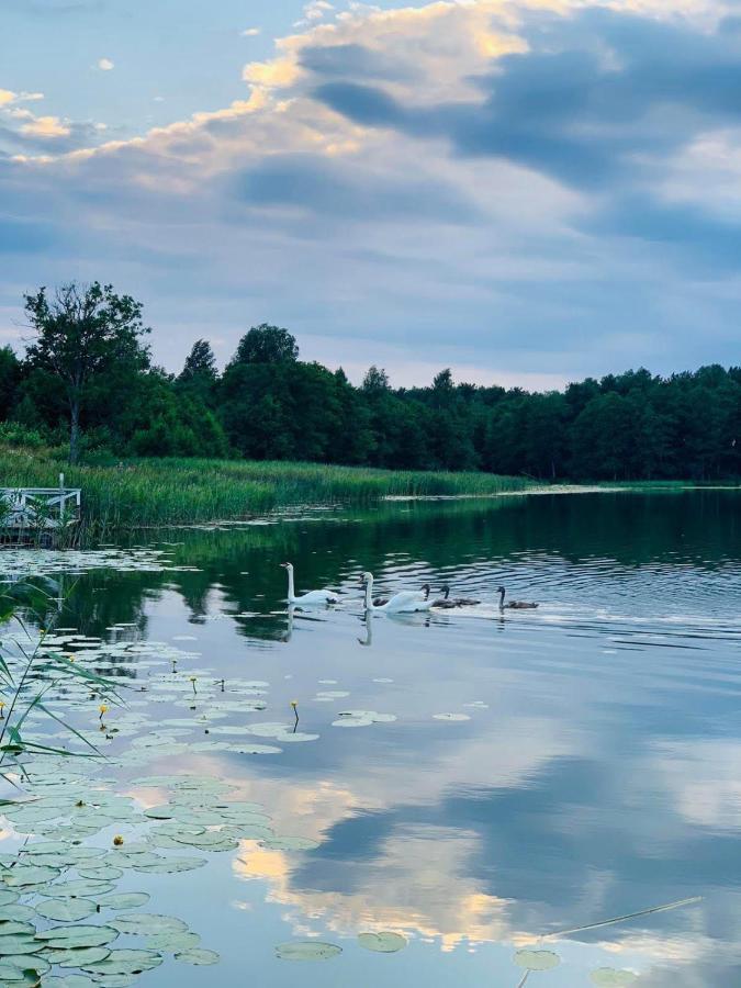 Sodybos Kompleksas - Eco Resort Trakai Antakalnis  Bagian luar foto